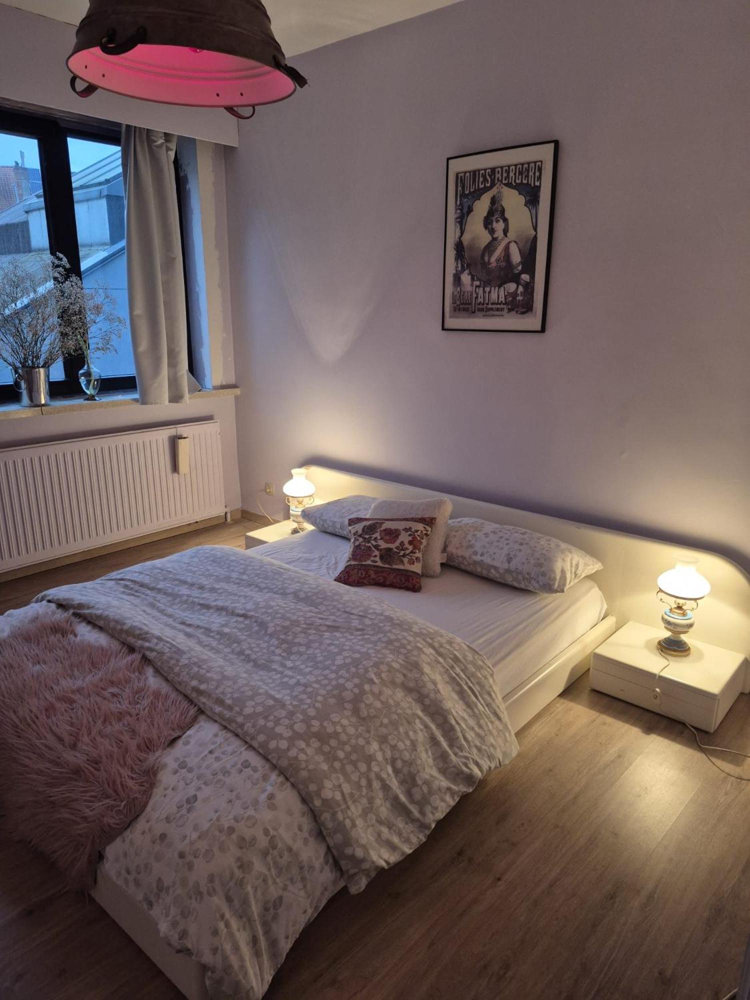Gent'S Accomodations For Short And Middle Long Stay Buitenkant foto